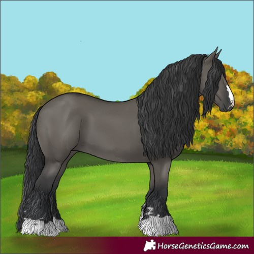 Horse Color:Grullo 
