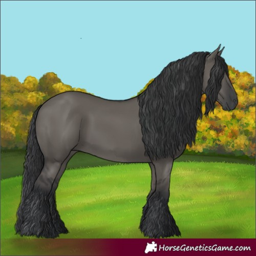 Horse Color:Grullo