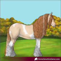 Horse Color:Red Dun Tobiano