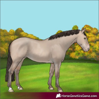 Horse Color:Amber Champagne Dun