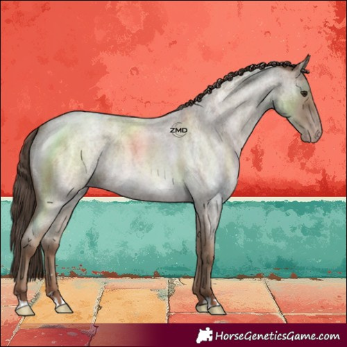 Horse Color:Classic Champagne Roan 