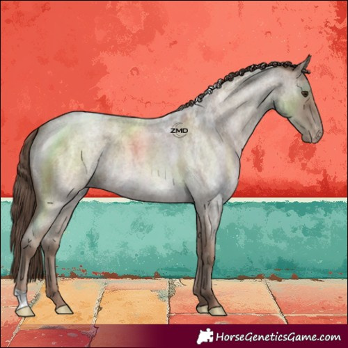 Horse Color:Classic Champagne Roan Skewed LP Spotted 