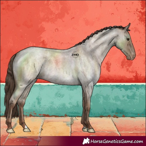 Horse Color:Classic Champagne Roan Skewed LP Spotted