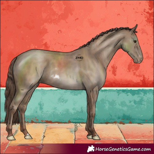 Horse Color:Classic Champagne Skewed LP Spotted