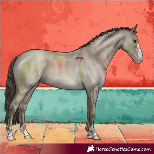 Horse Color:Classic Champagne Roan 