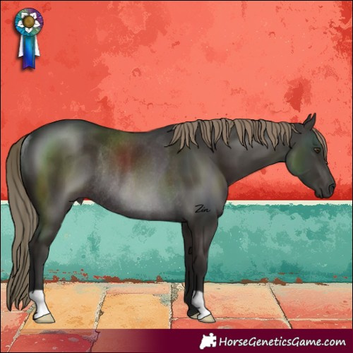 Horse Color:Liver Chestnut Rabicano
