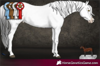 Horse Color:Liver Chestnut Snowflake Varnish 
