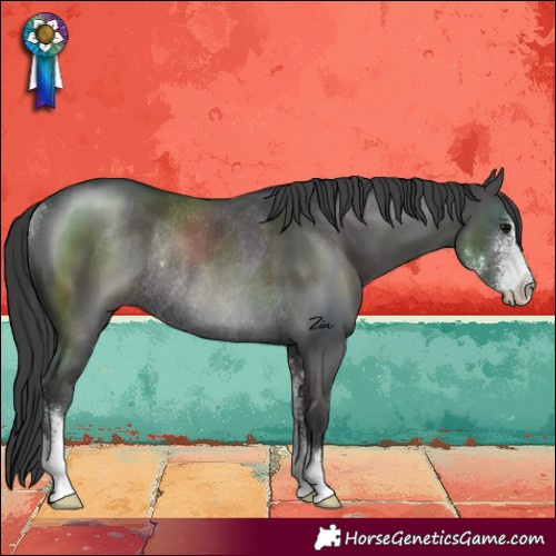 Horse Color:Black Sabino Rabicano 