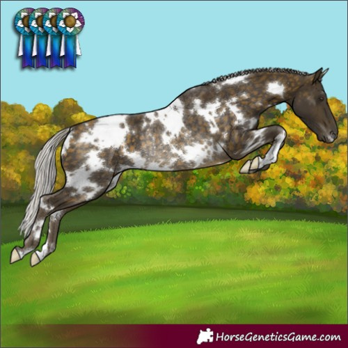 Horse Color:White Spotted Silver Buckskin Rabicano 
