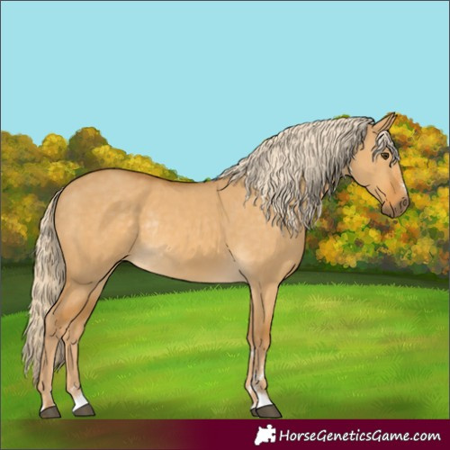 Horse Color:Palomino Dun Rabicano 