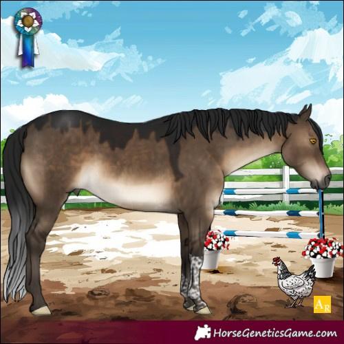 Horse Color:Gray Brown Dun Mushroom Tobiano Rabicano 