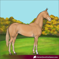 Horse Color:Chestnut Varnish
