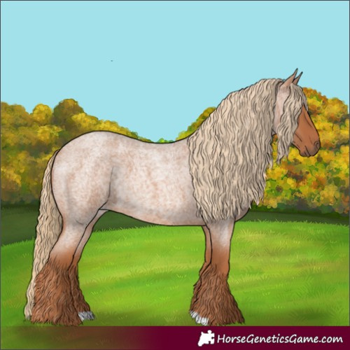 Horse Color:Red Roan Rabicano