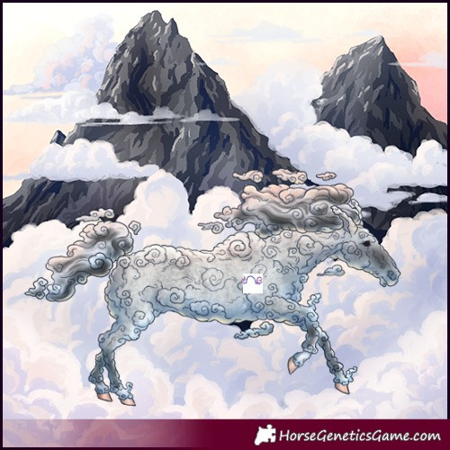Horse Color:Blue Roan 