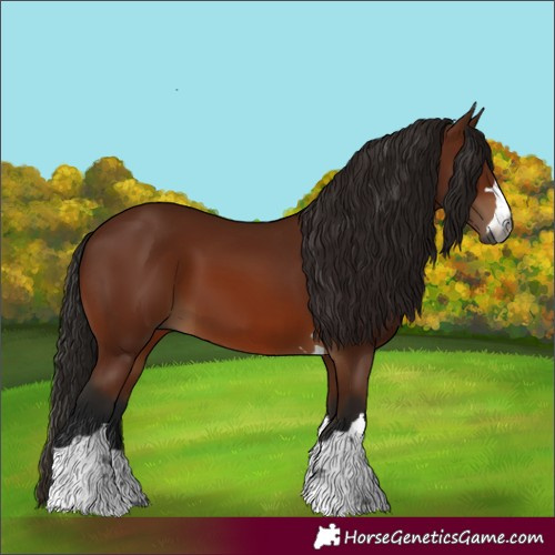 Horse Color:Gray Bay 