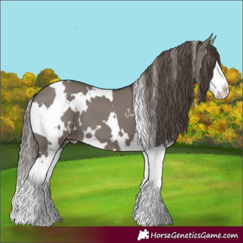Horse Color:White Spotted Smoky Grullo Splash Varnish 