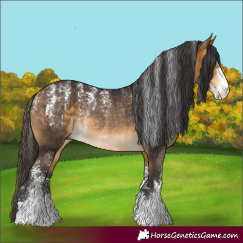 Horse Color:Powder White Buckskin Rabicano 