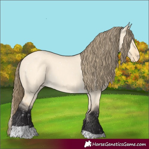 Horse Color:Buckskin Dun Tobiano Skewed LP Spotted 