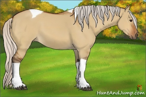 Horse Color:Silver Bay Dun Tobiano 