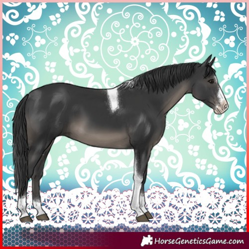 Horse Color:Black Splash Tobiano 