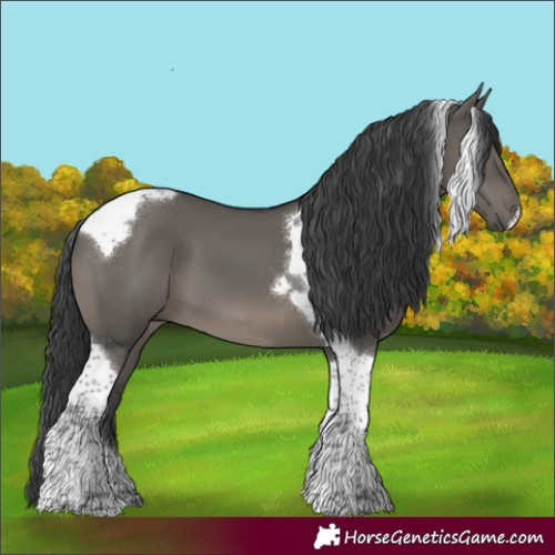 Horse Color:Grullo Tobiano
