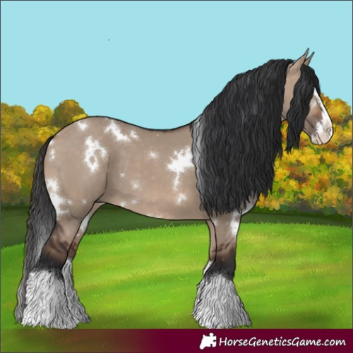 Horse Color:White Spotted Brown Dun Splash