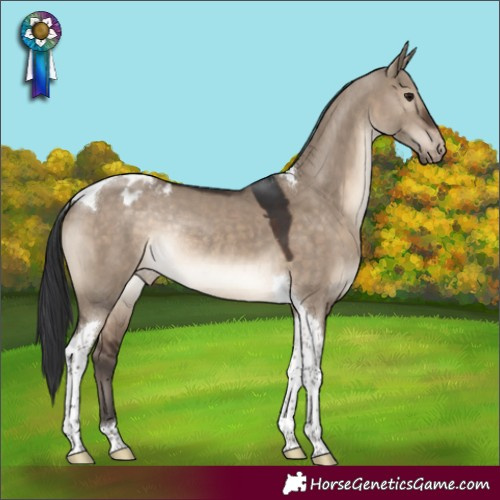 Horse Color:Brown Dun Tobiano Blanket Rabicano