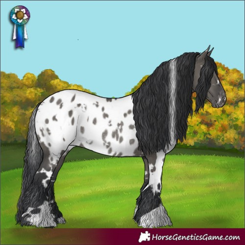 Horse Color:White Spotted Grullo Blanket Rabicano 