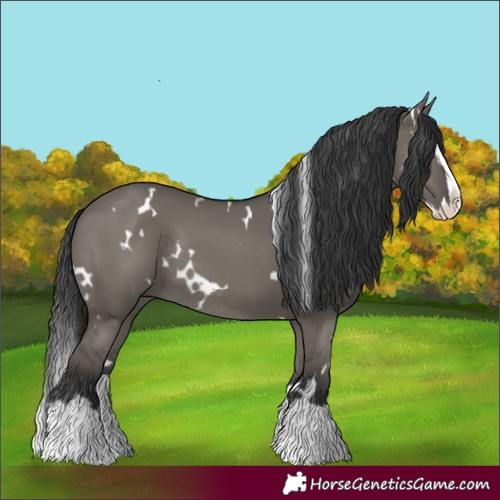 Horse Color:White Spotted Grullo Splash Rabicano