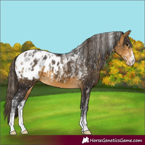 Horse Color:Powder White Buckskin Blanket 