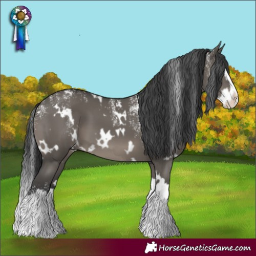 Horse Color:Powder White White Spotted Grullo Splash 