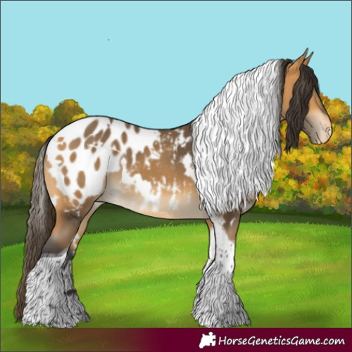 Horse Color:White Spotted Buckskin Tobiano Blanket 