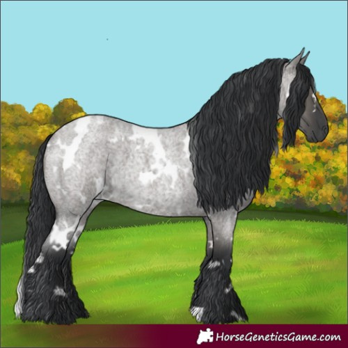 Horse Color:White Spotted Grullo Roan