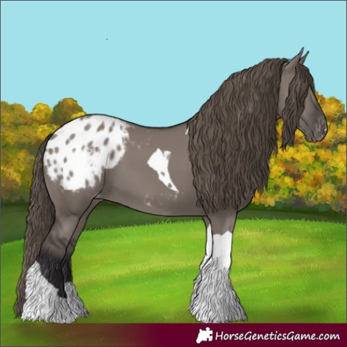 Horse Color:Smoky Grullo Tobiano Blanket