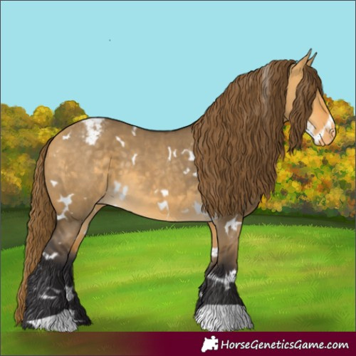 Horse Color:White Spotted Buckskin Dun Varnish 