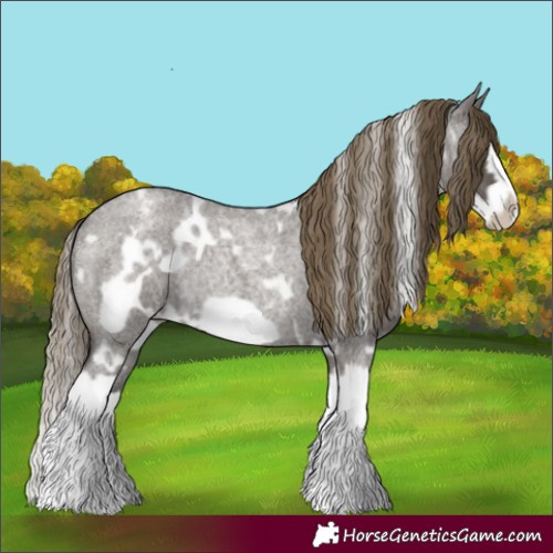 Horse Color:White Spotted Smoky Grullo Roan Splash Frame Varnish Rabicano 