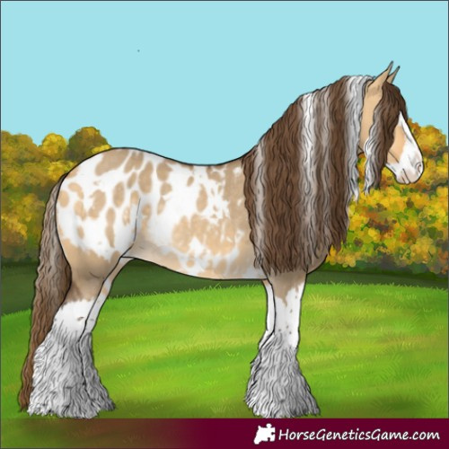 Horse Color:White Spotted Buckskin Dun Splash Blanket Rabicano 