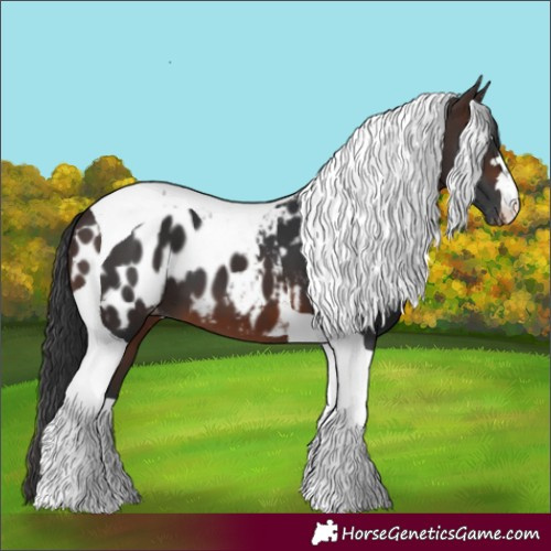 Horse Color:Brown Tobiano Blanket 