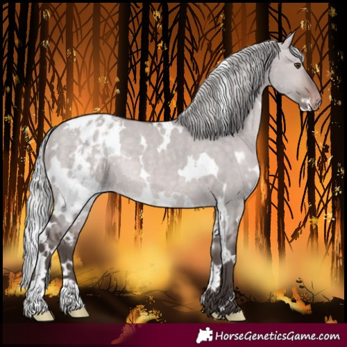 Horse Color:Platinum White Spotted Silver Brown Dun Blanket Rabicano