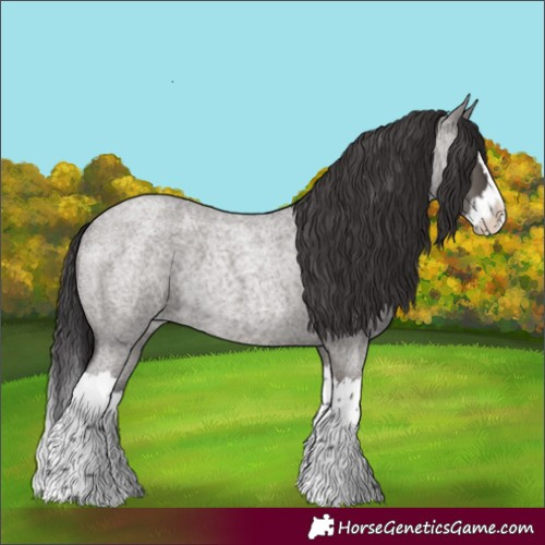 Horse Color:Smoky Grullo Roan Splash 