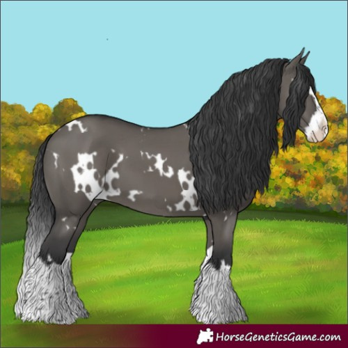 Horse Color:White Spotted Grullo Splash Varnish 