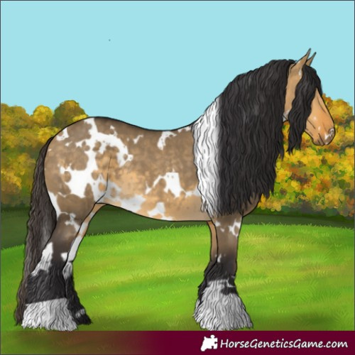 Horse Color:White Spotted Buckskin Dun