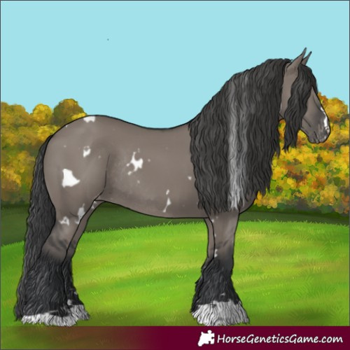 Horse Color:White Spotted Grullo Varnish Rabicano