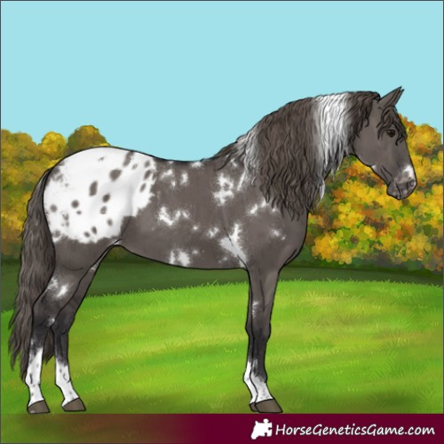 Horse Color:White Spotted Smoky Grullo Tobiano Varnish Brindle 