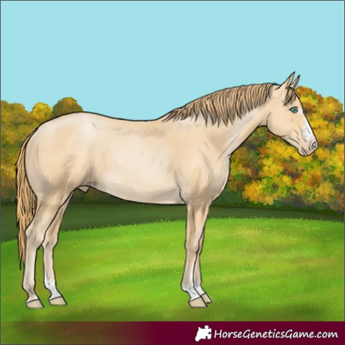Horse Color:Smoky Black Pearl Rabicano 