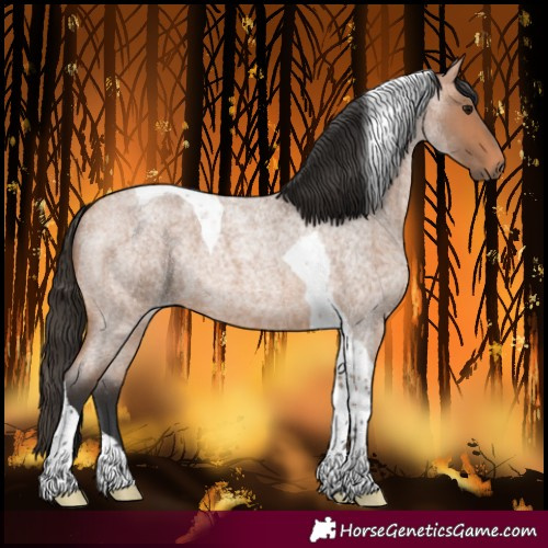 Horse Color:Bay Roan Tobiano 