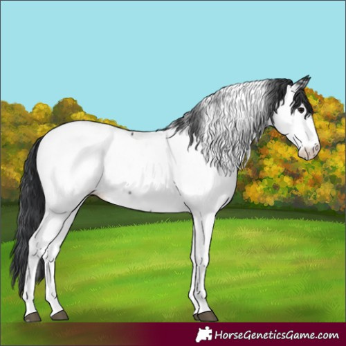 Horse Color:Black Tobiano Near Fewspot