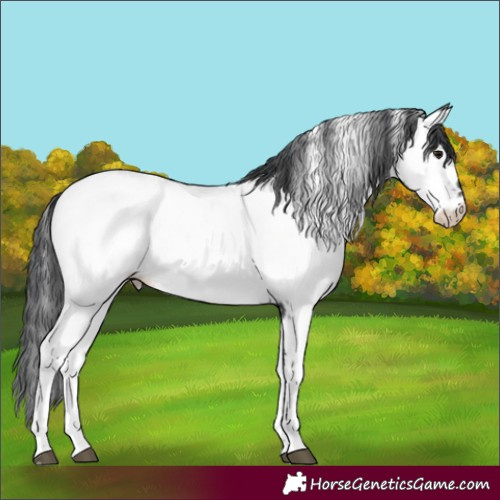 Horse Color:Black Tobiano Near Fewspot