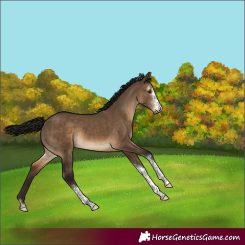 Horse Color:Gray Brown Dun Sabino Tobiano Varnish