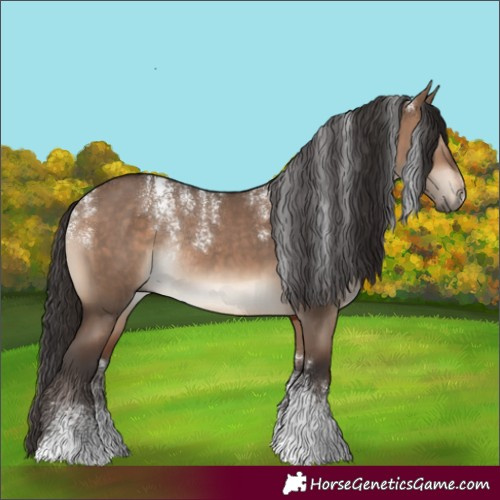 Horse Color:Powder White Brown Dun Rabicano 